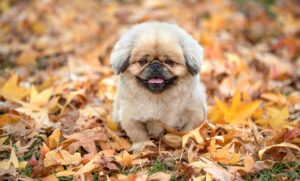 ワーケーションに最適な箱根の魅力とは？