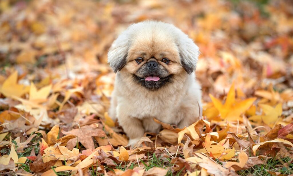別府の穴場宿で過ごす贅沢な休日は？