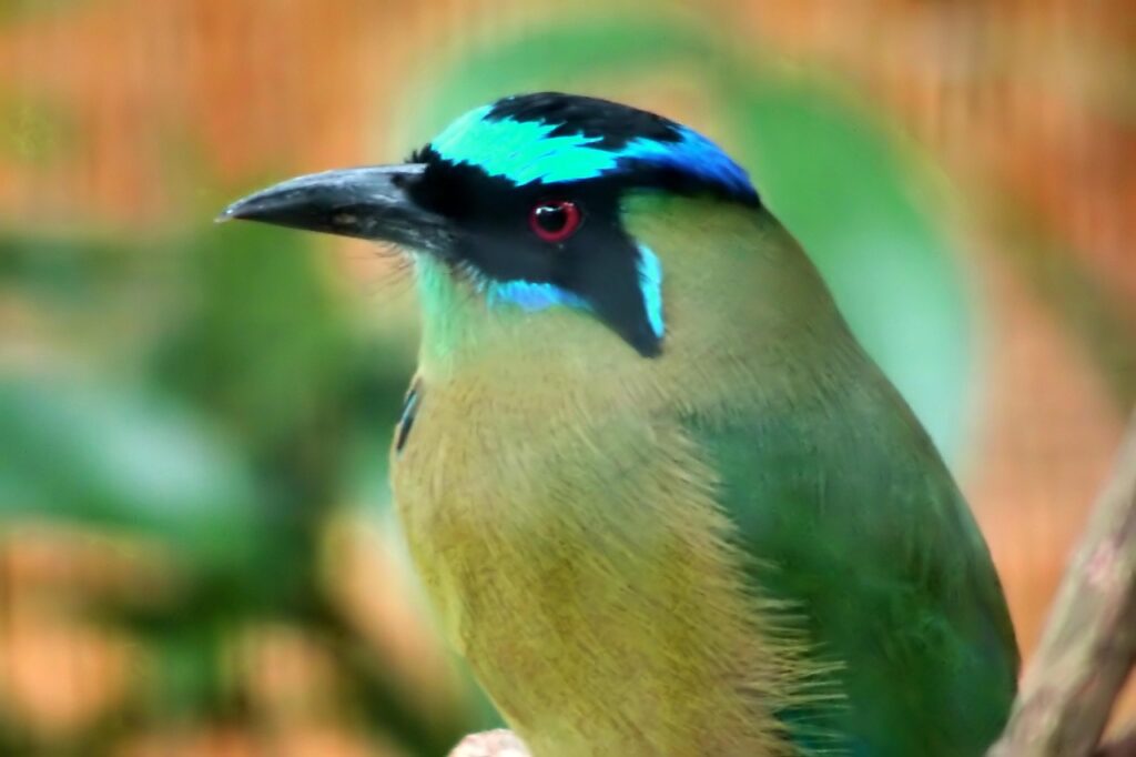 ワーケーション導入にかかる費用はどれくらい？