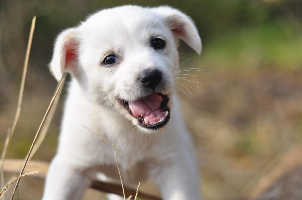 自然の中で楽しむワーケーションに最適な温泉宿のおすすめは？