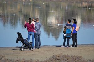 家族で楽しむワーケーションに最適な温泉宿は？