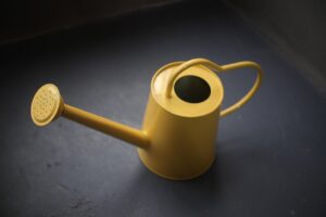 湯治とワーケーションを楽しめる温泉宿はどこですか？