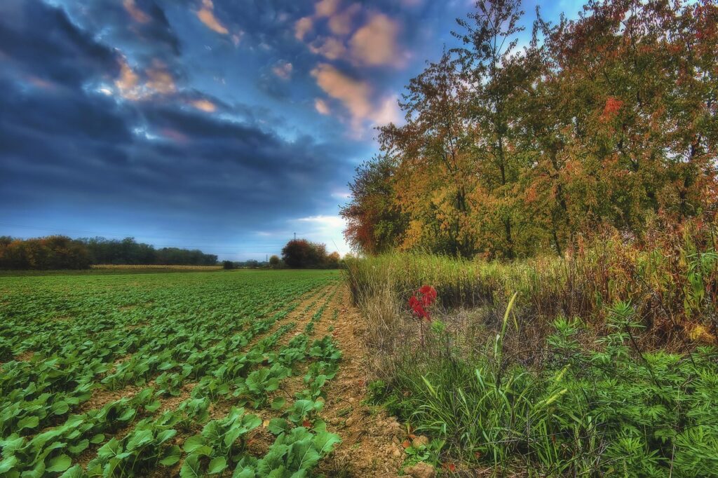 ワーケーションプランに最適な温泉宿はどこですか？
