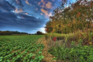 ワーケーションプランに最適な温泉宿はどこですか？