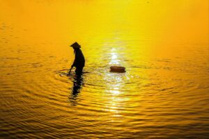 森林温泉で楽しむワーケーション宿の魅力とは？