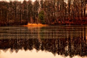 静かに過ごせるワーケーションに最適な温泉宿はどこ？