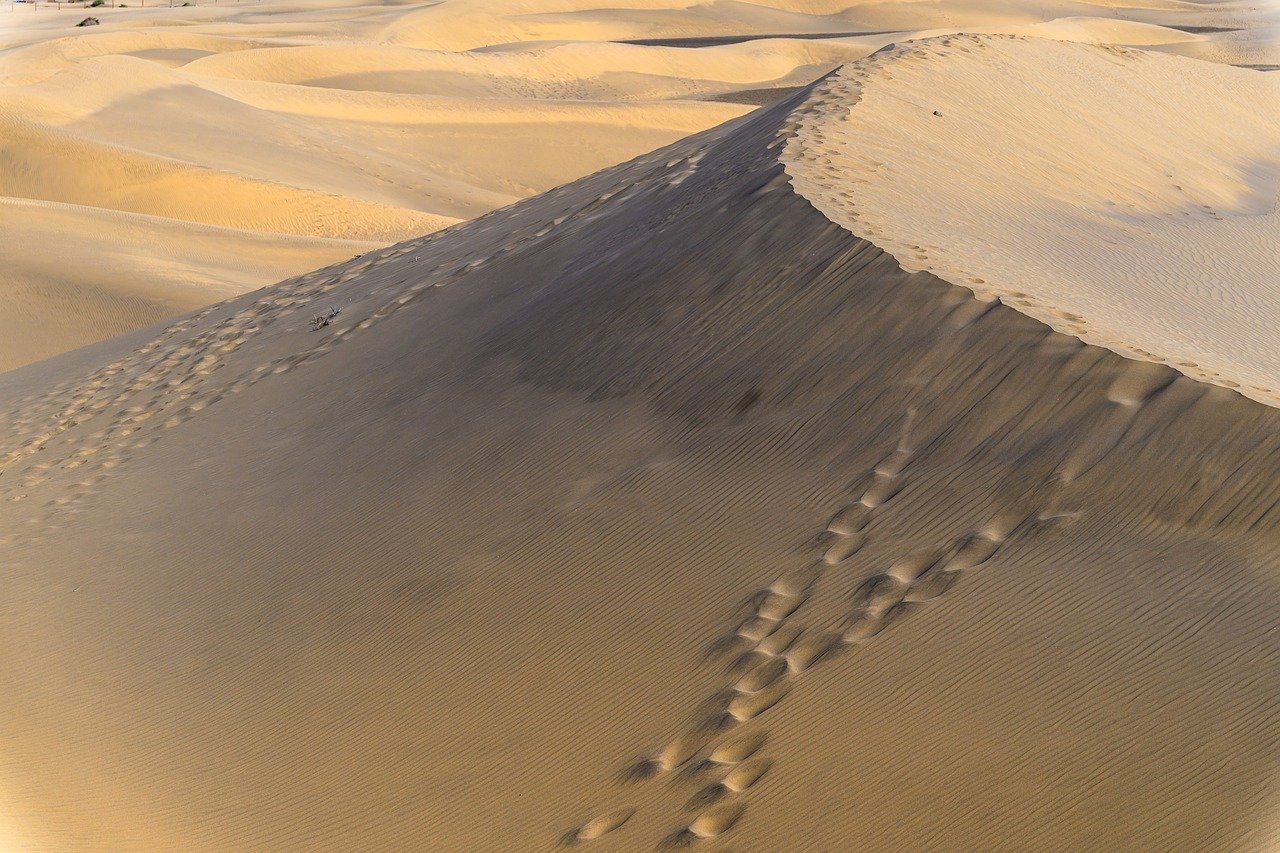 黒川温泉の自然に囲まれた旅館でのワーケーションに関する口コミは？